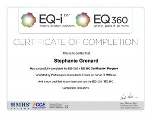 EQ-i EQ360
